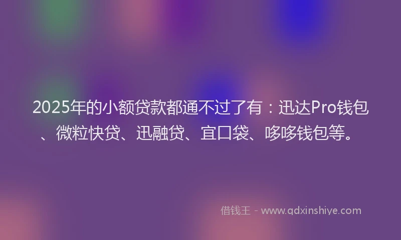 2025年的小额贷款都通不过了有：迅达Pro钱包、微粒快贷、迅融贷、宜口袋、哆哆钱包等。