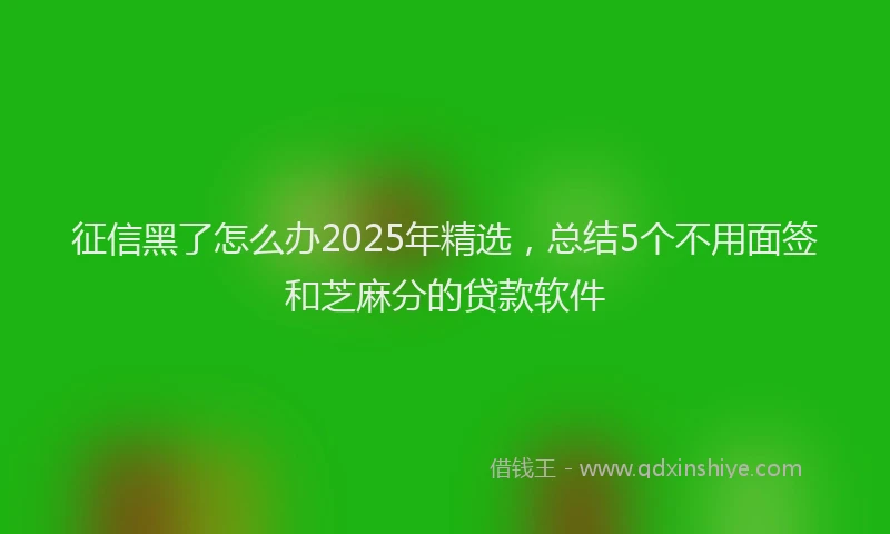 征信黑了怎么办2025年精选，总结5个不用面签和芝麻分的贷款软件