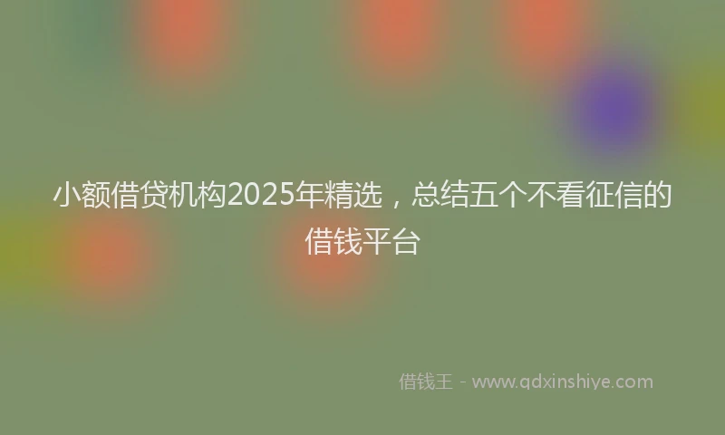 小额借贷机构2025年精选，总结五个不看征信的借钱平台