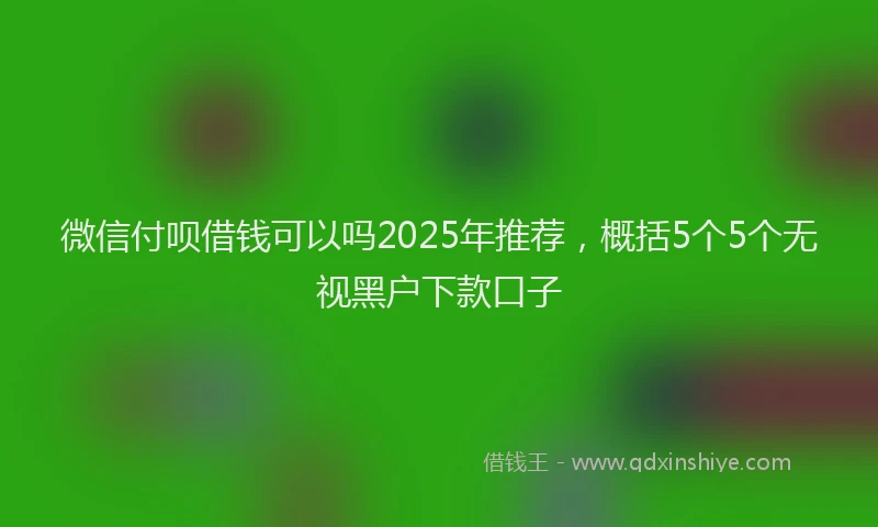 微信付呗借钱可以吗2025年推荐，概括5个5个无视黑户下款口子