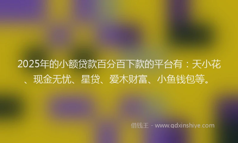 2025年的小额贷款百分百下款的平台有：天小花、现金无忧、星贷、爱木财富、小鱼钱包等。