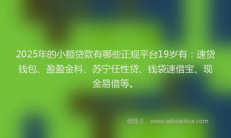 2025年的小额贷款有哪些正规平台19岁有：速贷钱包、盈盈金科、苏宁任性贷、钱袋速借宝、现金易借等。