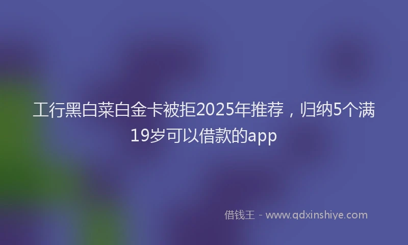 工行黑白菜白金卡被拒2025年推荐，归纳5个满19岁可以借款的app