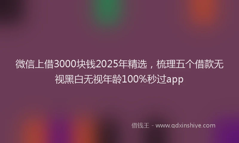 微信上借3000块钱2025年精选，梳理五个借款无视黑白无视年龄100%秒过app