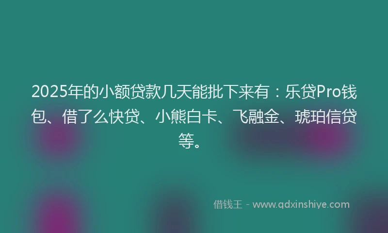 2025年的小额贷款几天能批下来有：乐贷Pro钱包、借了么快贷、小熊白卡、飞融金、琥珀信贷等。