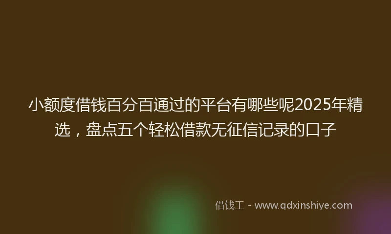 小额度借钱百分百通过的平台有哪些呢2025年精选，盘点五个轻松借款无征信记录的口子