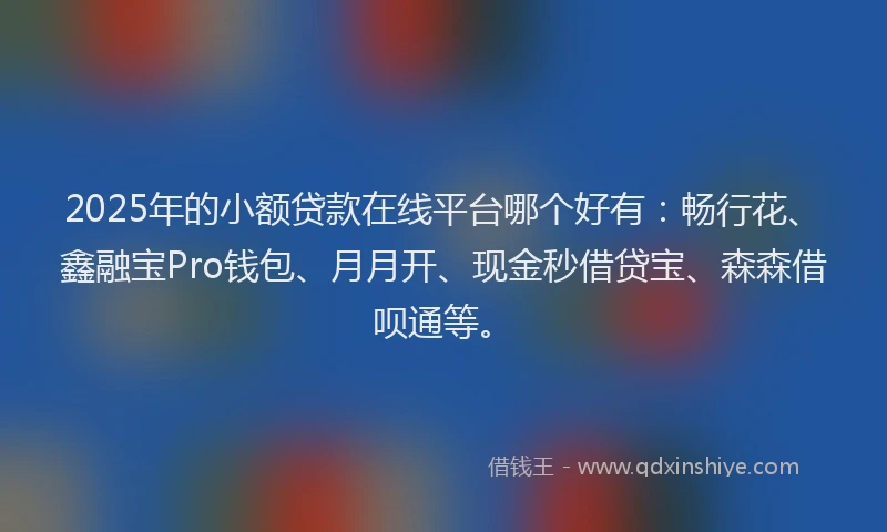 2025年的小额贷款在线平台哪个好有：畅行花、鑫融宝Pro钱包、月月开、现金秒借贷宝、森森借呗通等。