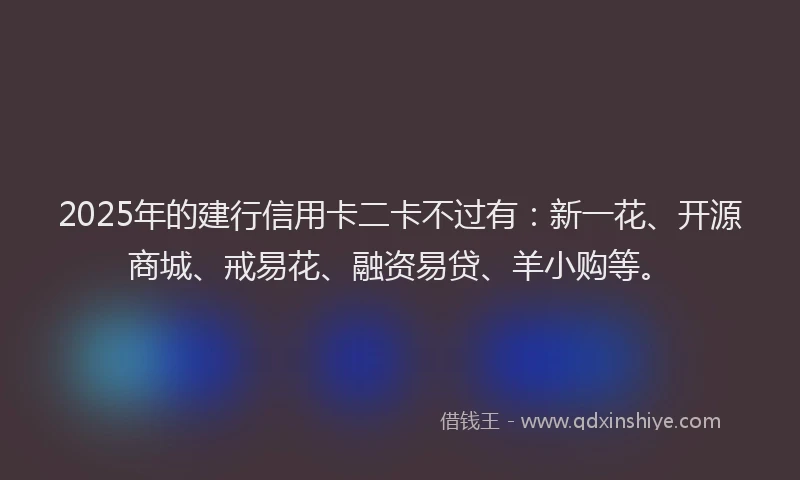 2025年的建行信用卡二卡不过有：新一花、开源商城、戒易花、融资易贷、羊小购等。