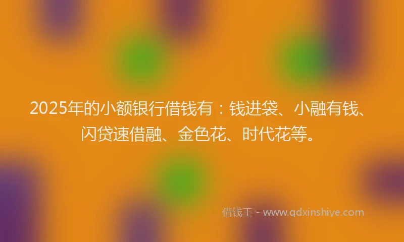 2025年的小额银行借钱有：钱进袋、小融有钱、闪贷速借融、金色花、时代花等。