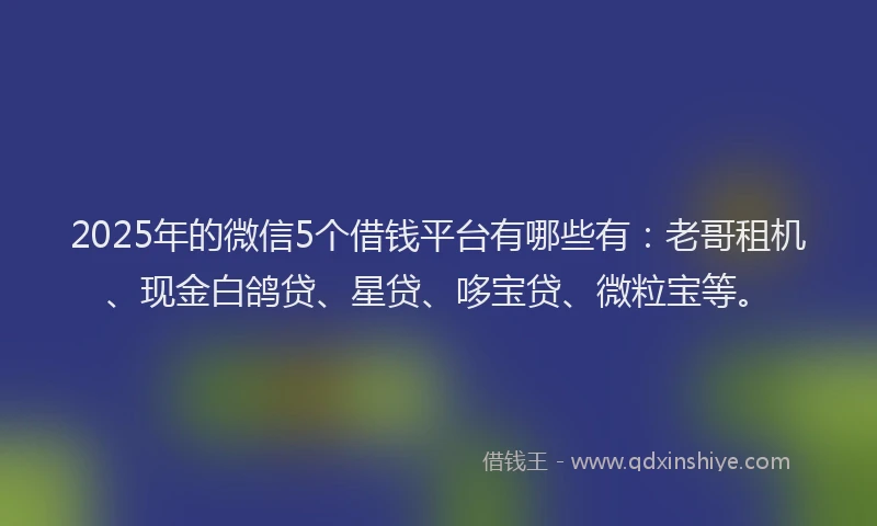 2025年的微信5个借钱平台有哪些有：老哥租机、现金白鸽贷、星贷、哆宝贷、微粒宝等。