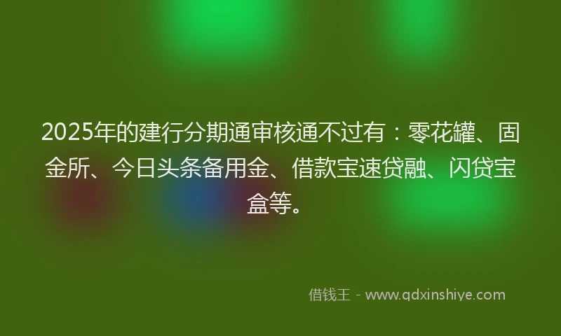 2025年的建行分期通审核通不过有：零花罐、固金所、今日头条备用金、借款宝速贷融、闪贷宝盒等。