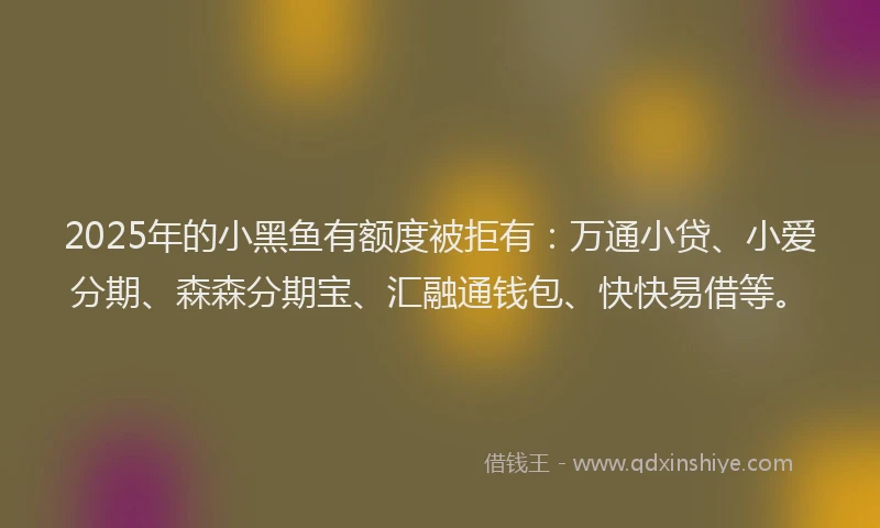 2025年的小黑鱼有额度被拒有：万通小贷、小爱分期、森森分期宝、汇融通钱包、快快易借等。