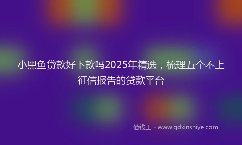 小黑鱼贷款好下款吗2025年精选，梳理五个不上征信报告的贷款平台