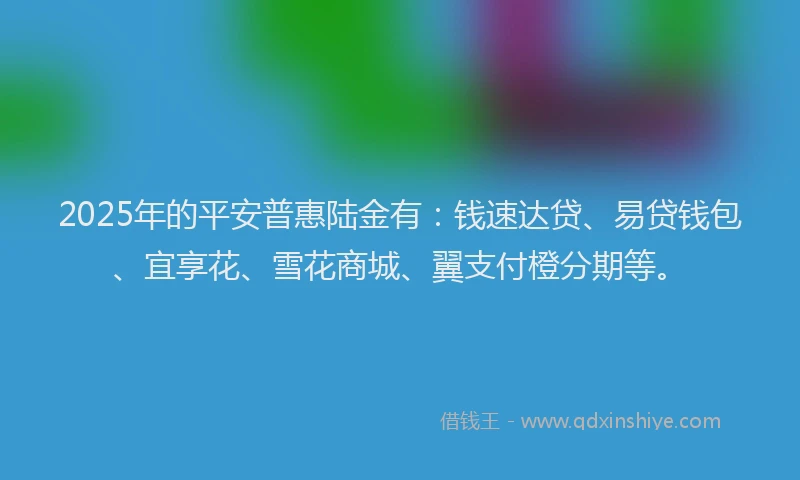2025年的平安普惠陆金有：钱速达贷、易贷钱包、宜享花、雪花商城、翼支付橙分期等。