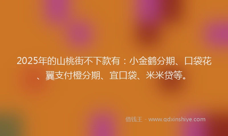 2025年的山桃街不下款有：小金鹤分期、口袋花、翼支付橙分期、宜口袋、米米贷等。