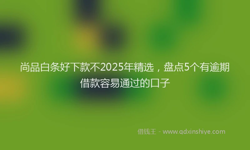 尚品白条好下款不2025年精选，盘点5个有逾期借款容易通过的口子