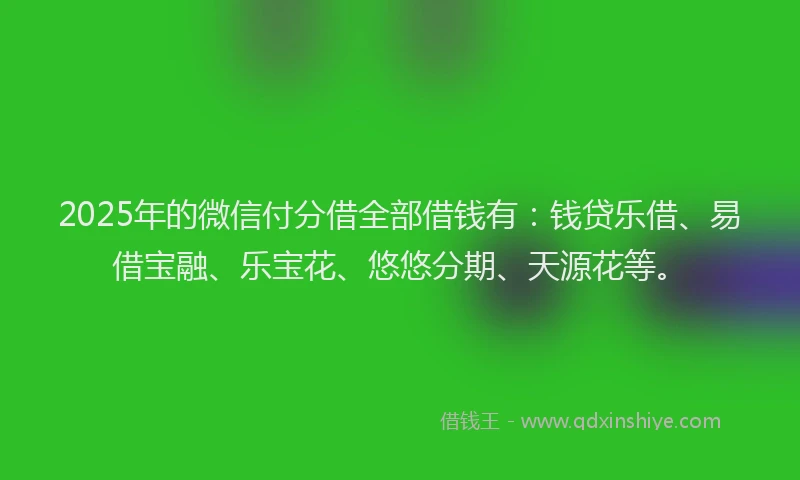 2025年的微信付分借全部借钱有：钱贷乐借、易借宝融、乐宝花、悠悠分期、天源花等。