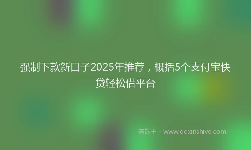 强制下款新口子2025年推荐，概括5个支付宝快贷轻松借平台