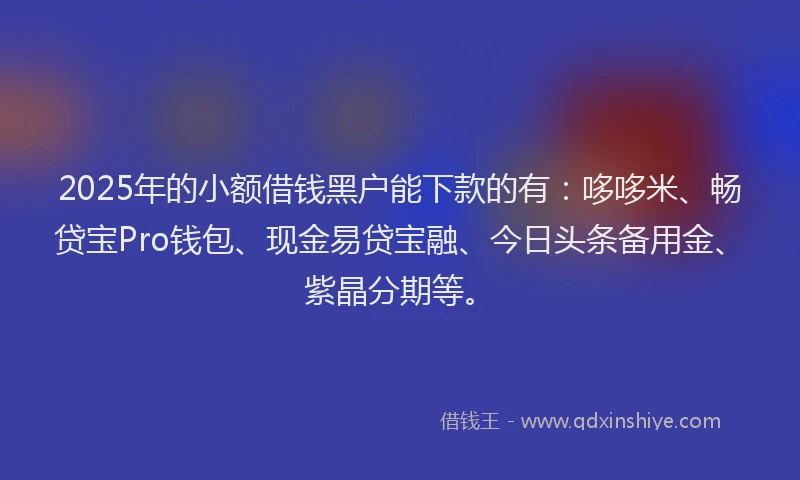 2025年的小额借钱黑户能下款的有：哆哆米、畅贷宝Pro钱包、现金易贷宝融、今日头条备用金、紫晶分期等。