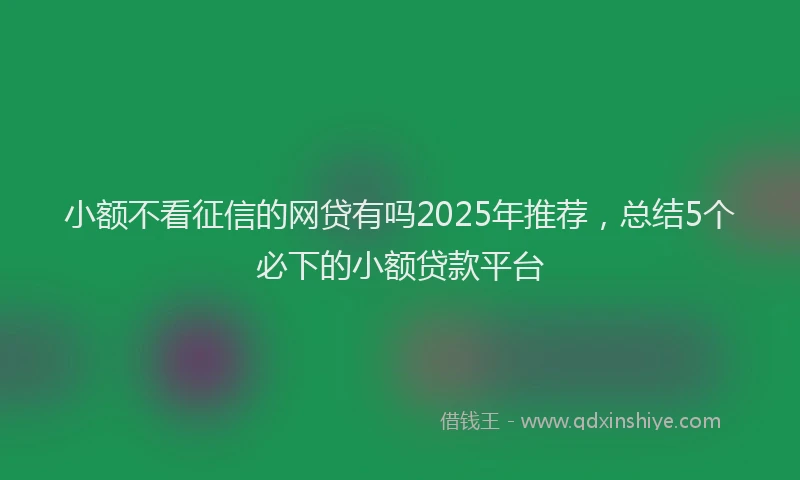 小额不看征信的网贷有吗2025年推荐，总结5个必下的小额贷款平台