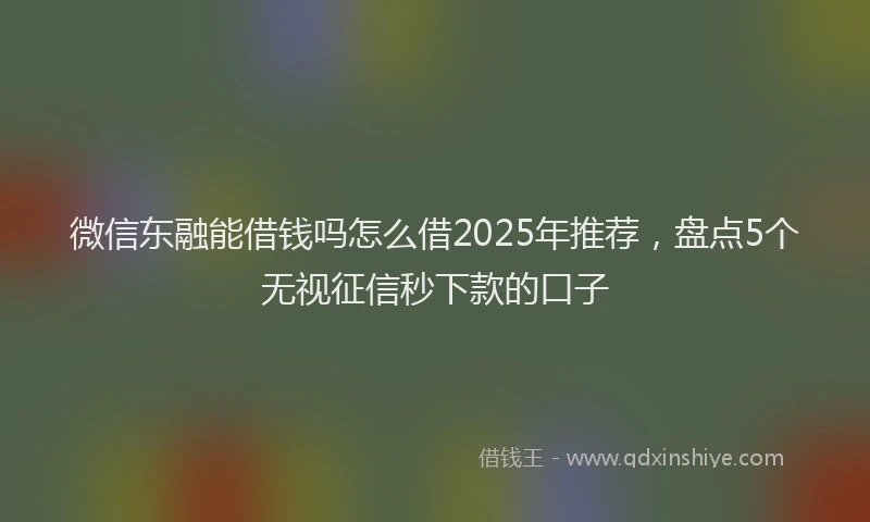 微信东融能借钱吗怎么借2025年推荐，盘点5个无视征信秒下款的口子