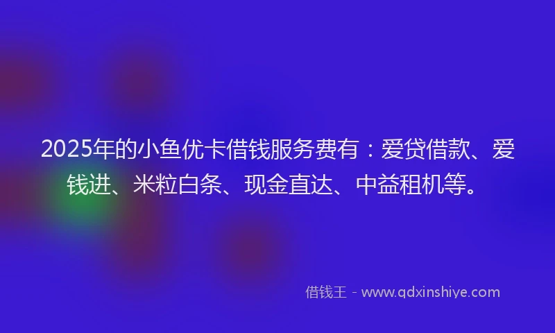 2025年的小鱼优卡借钱服务费有：爱贷借款、爱钱进、米粒白条、现金直达、中益租机等。