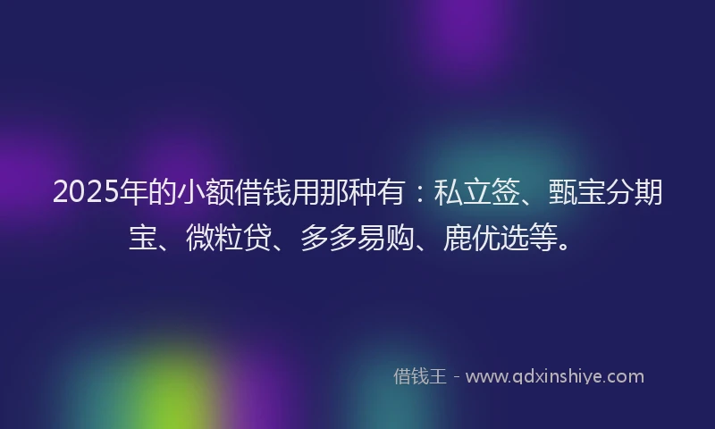 2025年的小额借钱用那种有：私立签、甄宝分期宝、微粒贷、多多易购、鹿优选等。