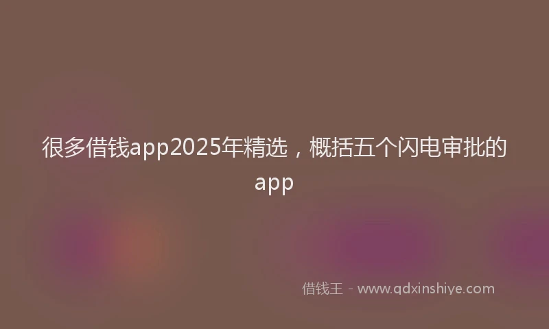很多借钱app2025年精选，概括五个闪电审批的app
