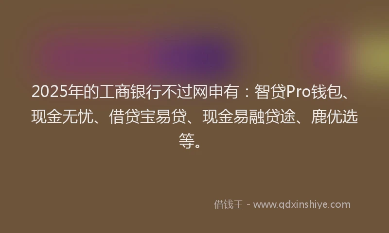 2025年的工商银行不过网申有：智贷Pro钱包、现金无忧、借贷宝易贷、现金易融贷途、鹿优选等。