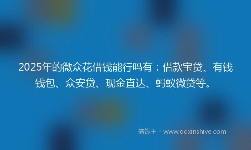2025年的微众花借钱能行吗有：借款宝贷、有钱钱包、众安贷、现金直达、蚂蚁微贷等。