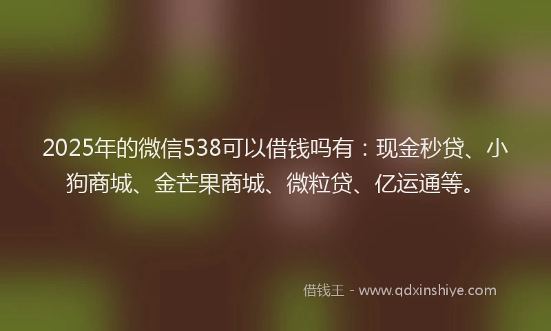 2025年的微信538可以借钱吗有：现金秒贷、小狗商城、金芒果商城、微粒贷、亿运通等。