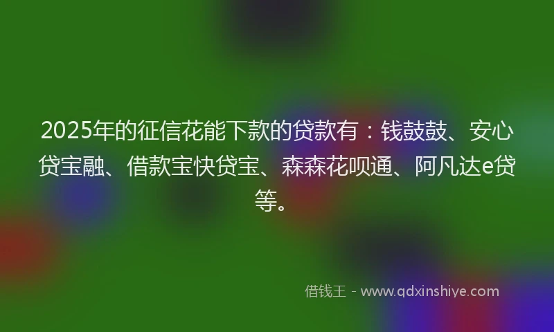 2025年的征信花能下款的贷款有：钱鼓鼓、安心贷宝融、借款宝快贷宝、森森花呗通、阿凡达e贷等。