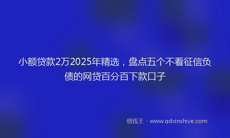 小额贷款2万2025年精选，盘点五个不看征信负债的网贷百分百下款口子