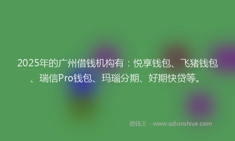 2025年的广州借钱机构有：悦享钱包、飞猪钱包、瑞信Pro钱包、玛瑙分期、好期快贷等。