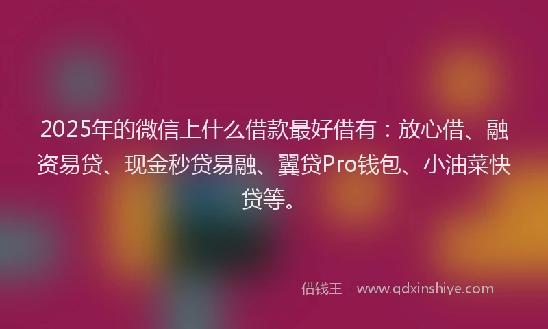 2025年的微信上什么借款最好借有：放心借、融资易贷、现金秒贷易融、翼贷Pro钱包、小油菜快贷等。