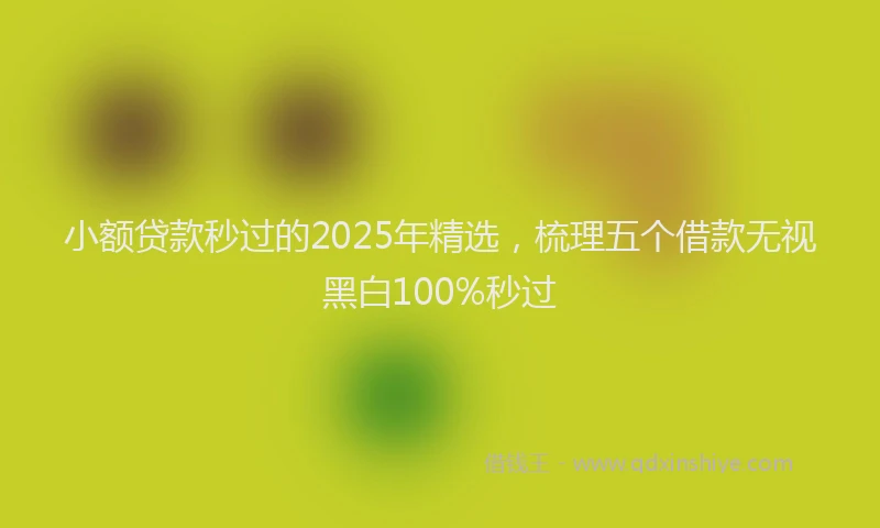 小额贷款秒过的2025年精选，梳理五个借款无视黑白100%秒过