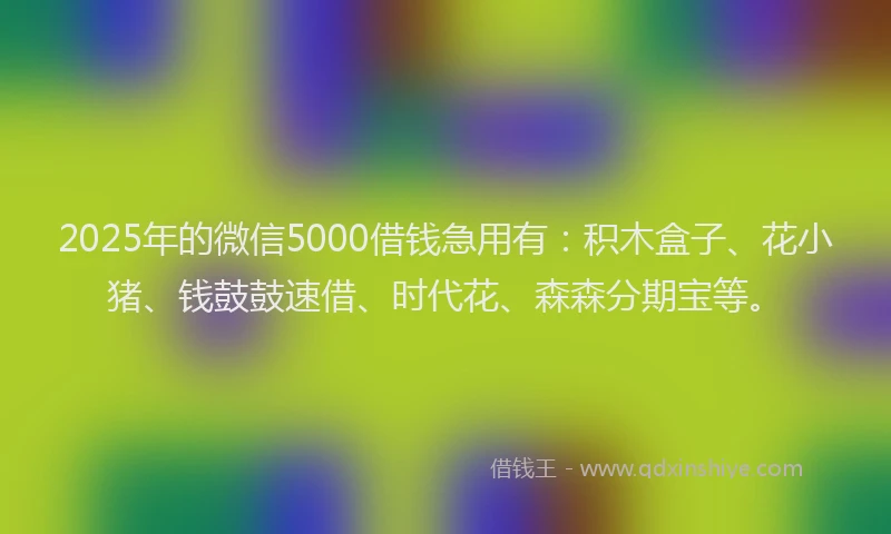 2025年的微信5000借钱急用有：积木盒子、花小猪、钱鼓鼓速借、时代花、森森分期宝等。