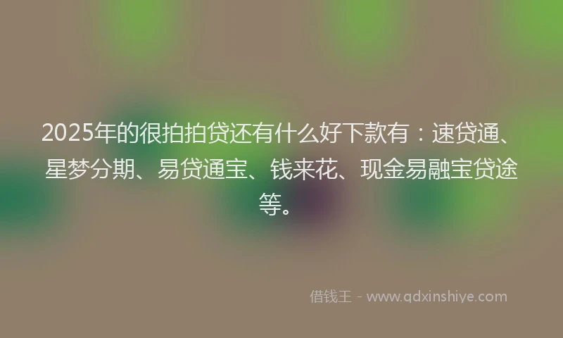 2025年的很拍拍贷还有什么好下款有：速贷通、星梦分期、易贷通宝、钱来花、现金易融宝贷途等。