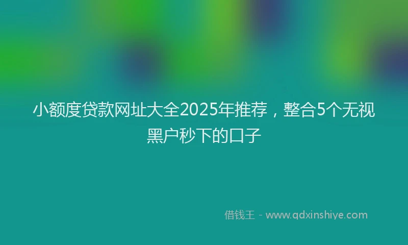 小额度贷款网址大全2025年推荐，整合5个无视黑户秒下的口子