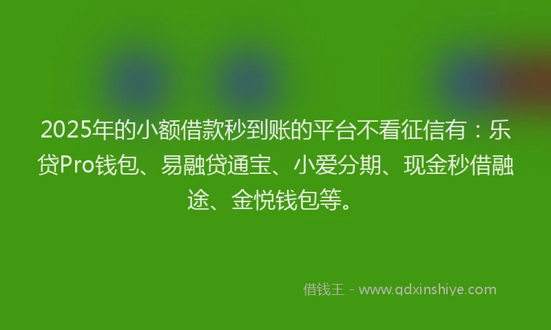 2025年的小额借款秒到账的平台不看征信有：乐贷Pro钱包、易融贷通宝、小爱分期、现金秒借融途、金悦钱包等。