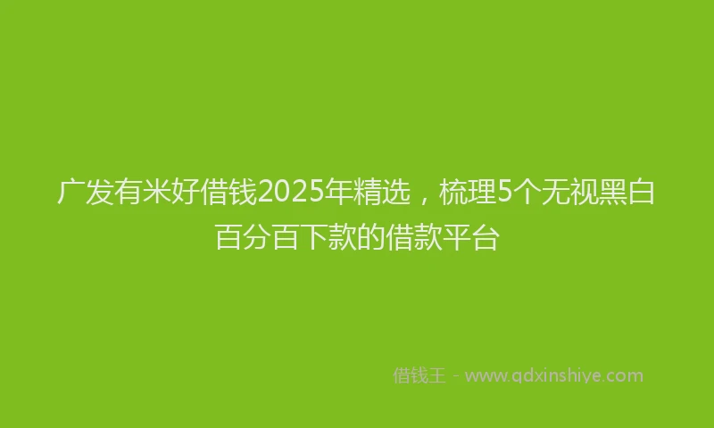 广发有米好借钱2025年精选，梳理5个无视黑白百分百下款的借款平台