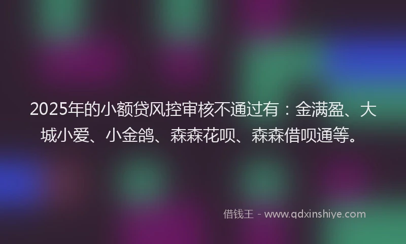 2025年的小额贷风控审核不通过有：金满盈、大城小爱、小金鸽、森森花呗、森森借呗通等。
