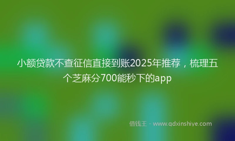 小额贷款不查征信直接到账2025年推荐，梳理五个芝麻分700能秒下的app
