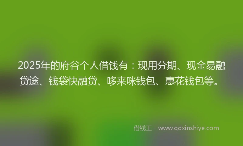2025年的府谷个人借钱有：现用分期、现金易融贷途、钱袋快融贷、哆来咪钱包、惠花钱包等。