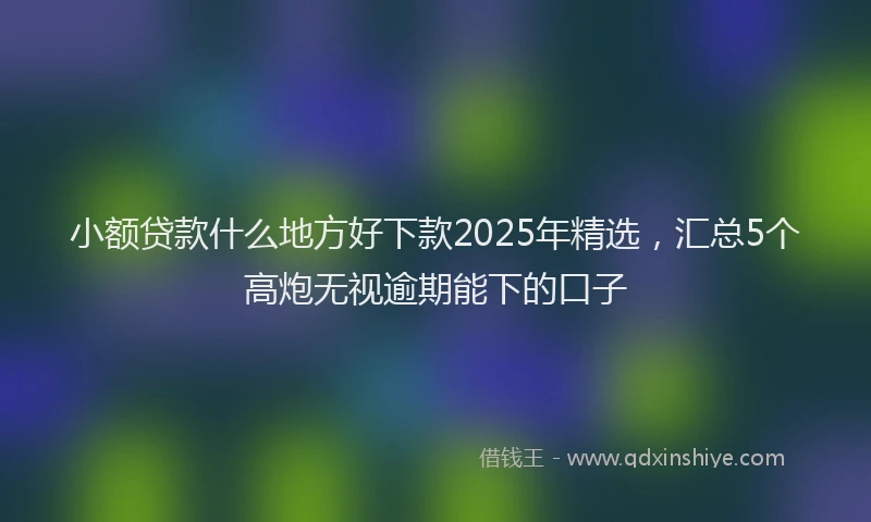 小额贷款什么地方好下款2025年精选，汇总5个高炮无视逾期能下的口子