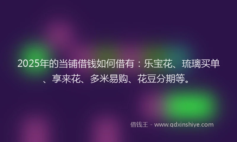 2025年的当铺借钱如何借有：乐宝花、琉璃买单、享来花、多米易购、花豆分期等。