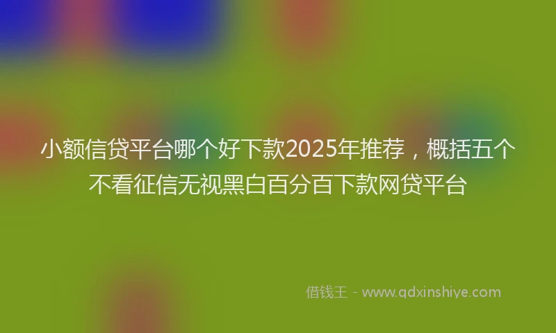 小额信贷平台哪个好下款2025年推荐，概括五个不看征信无视黑白百分百下款网贷平台