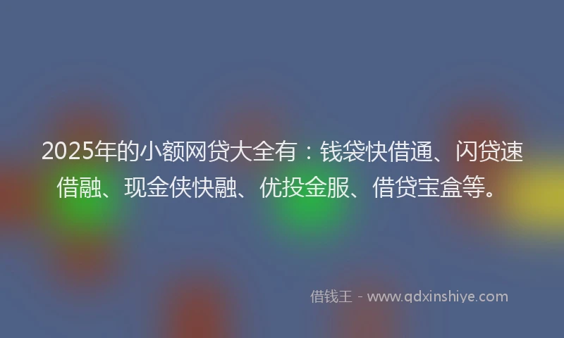 2025年的小额网贷大全有：钱袋快借通、闪贷速借融、现金侠快融、优投金服、借贷宝盒等。