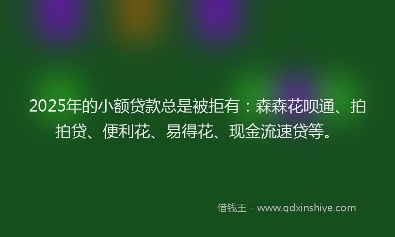 2025年的小额贷款总是被拒有：森森花呗通、拍拍贷、便利花、易得花、现金流速贷等。