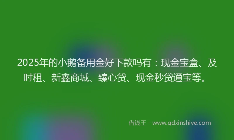 2025年的小鹅备用金好下款吗有：现金宝盒、及时租、新鑫商城、臻心贷、现金秒贷通宝等。